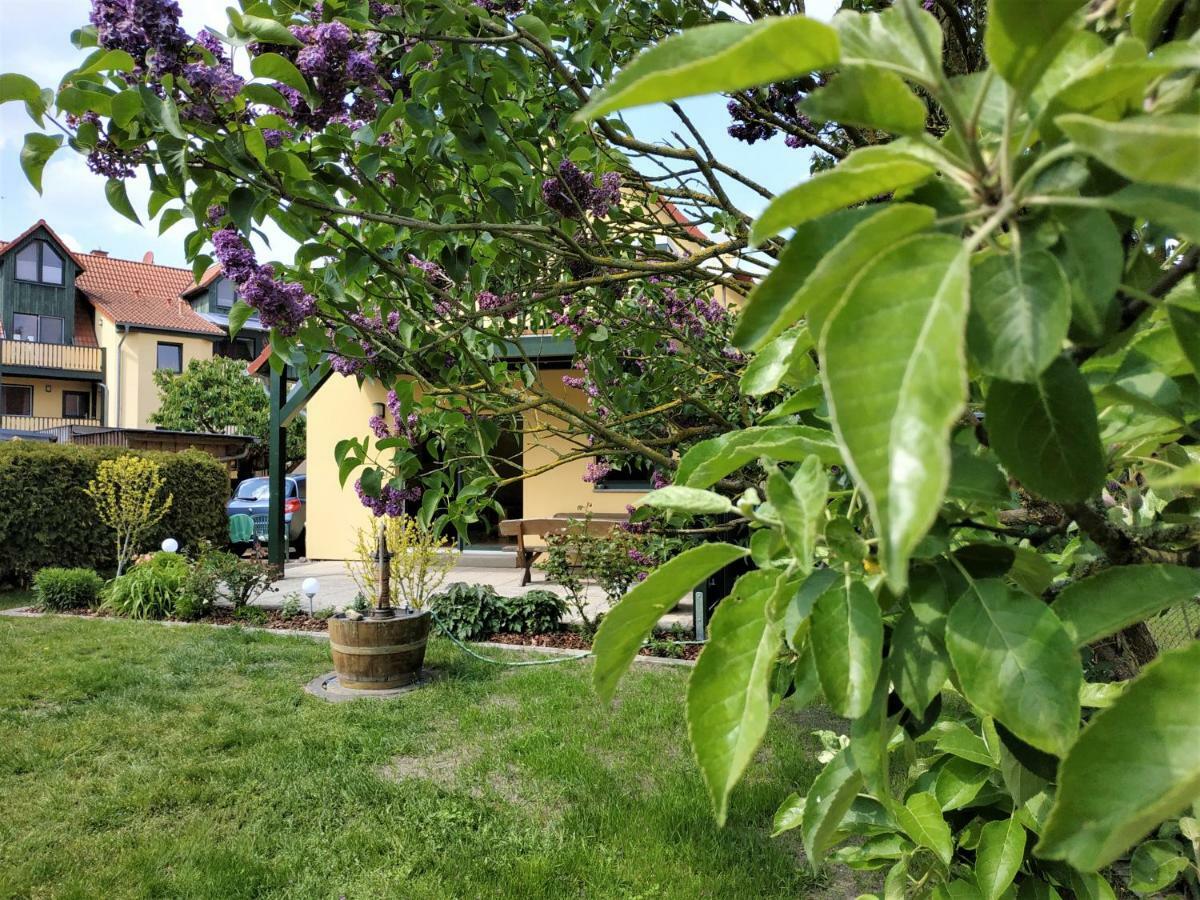 Ferienwohnungen Am Seeufer 11 Waren (Mueritz) Exterior foto